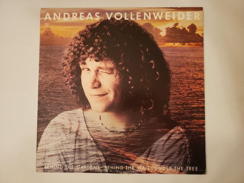 Andreas Vollenweider Behind the Gardens ? Behind the Wall ? Under the Tree? vinyl record
